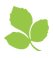 Kathy Mist Sports Massage